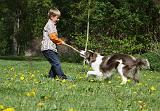 ENFANT ET CHIEN 280